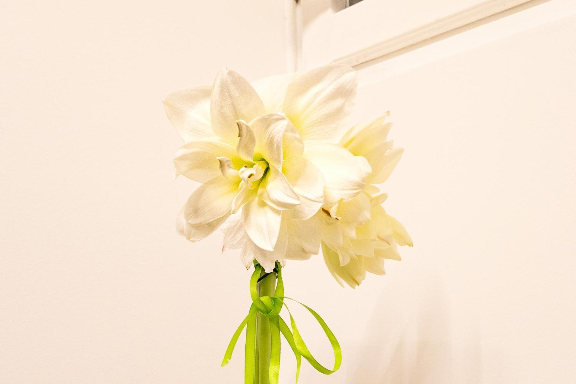 Il Giglio - Free Parking Apartment Como Bagian luar foto
